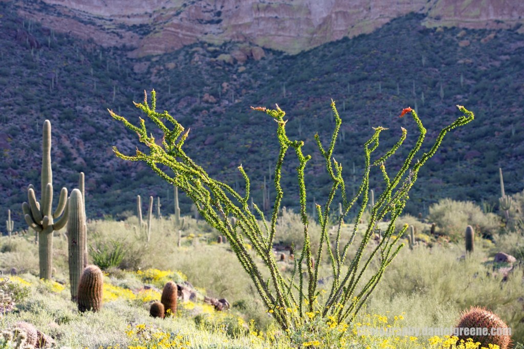 Usery Mountain Wind Cave&nbsp;Trail