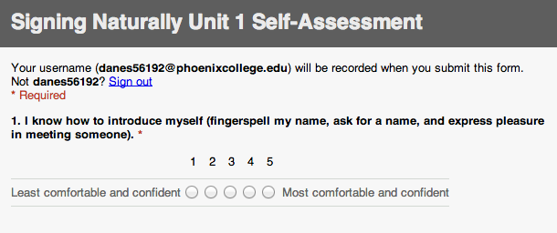 Screenshot of Google Form header and first question