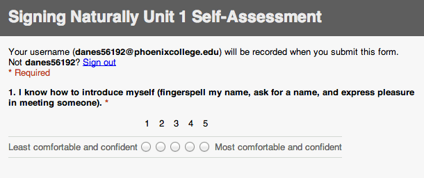 Screenshot of Google Form header and first question